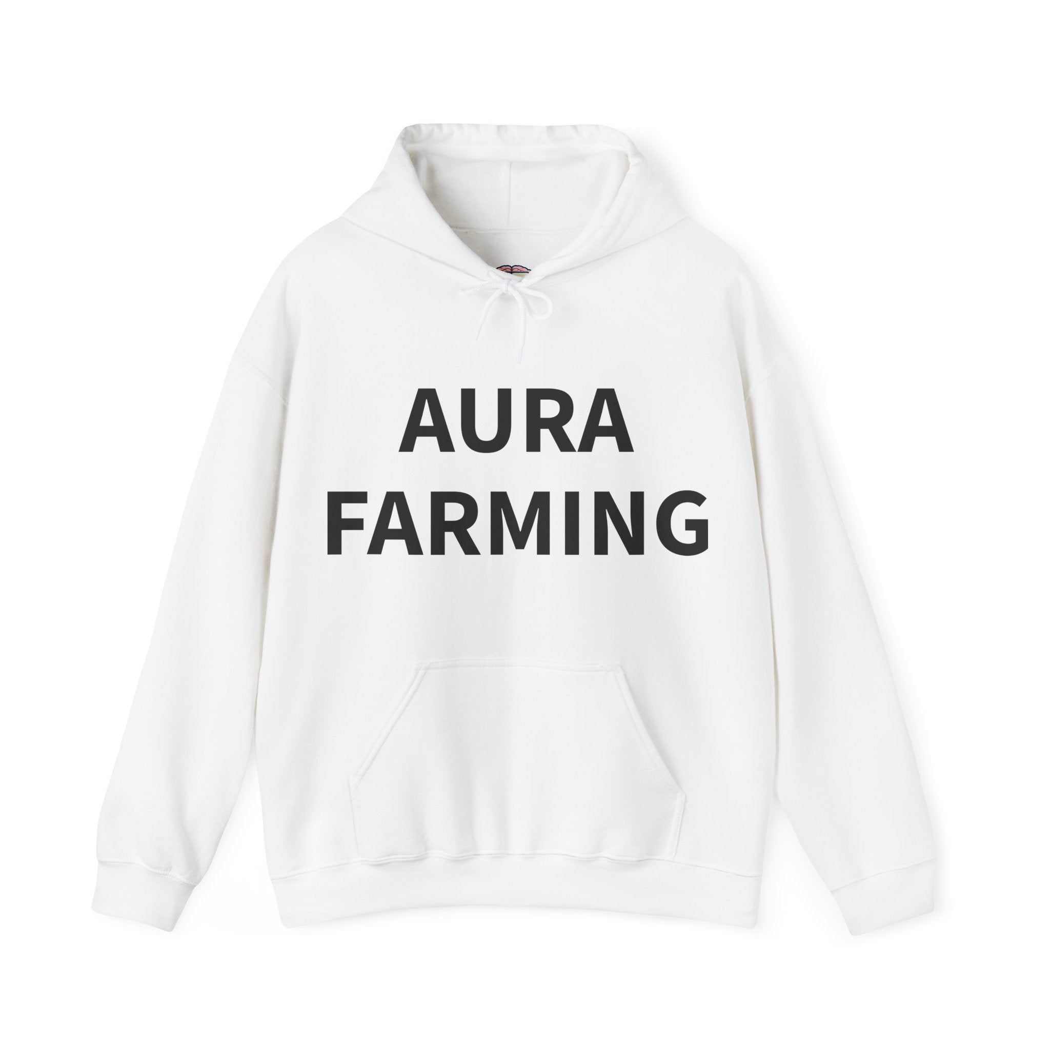 "AURA FARMING" Hoodie